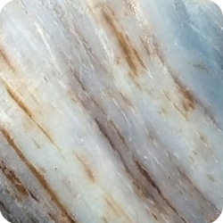 Opalized Wood