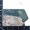 8310-caldera-jasper-1