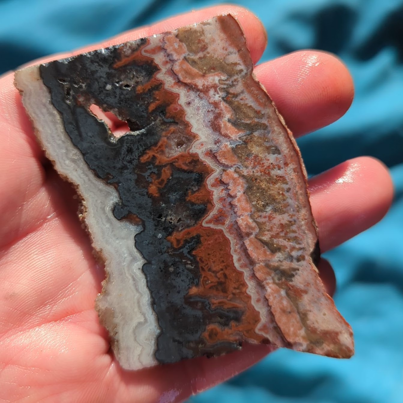 8455-wileys-well-agate-3