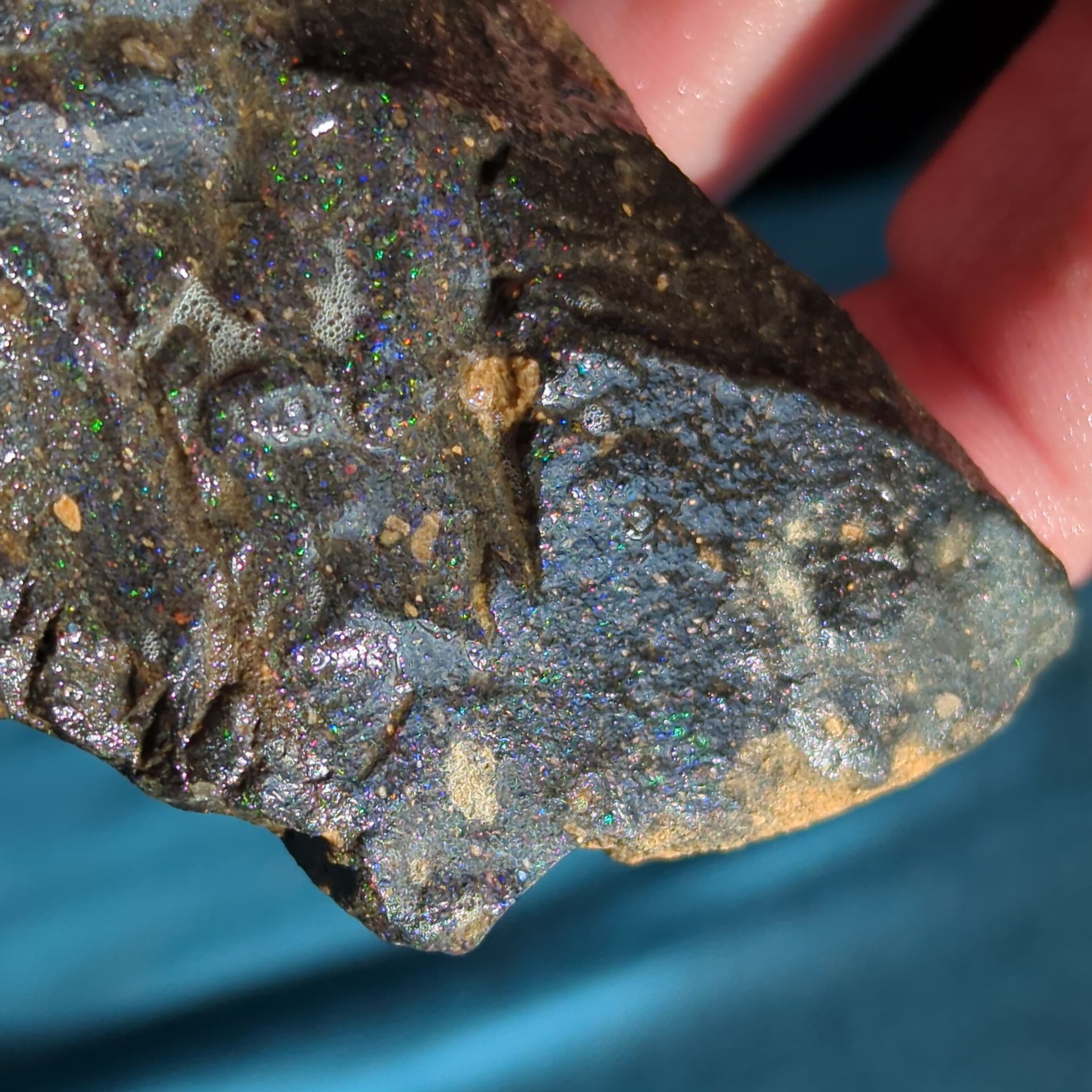 8470-honduran-black-matrix-opal-4