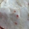IMG_20240112_162257