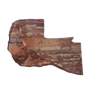 Ghost Town Rhyolite Lapidary Slab, shown wet