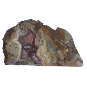 Crazy Lace Agate Lapidary Slab, shown wet