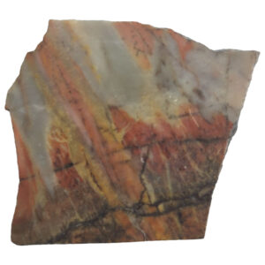 Cherry Creek Jasper Lapidary Slab, shown wet