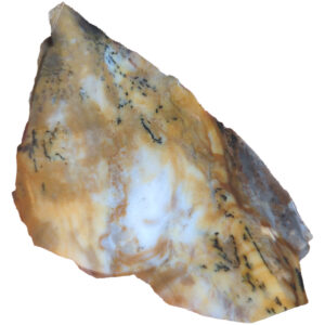 Dendritic Opal Lapidary Slab, shown wet
