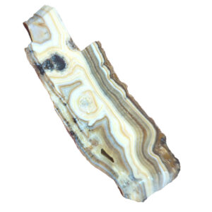 Travertine (Calcite Onyx) Lapidary Slab, shown wet