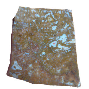 Moss Agate Lapidary Slab, shown wet