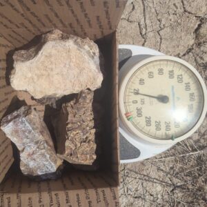 Agatized stromatolite, 18 pounds, 5 pieces