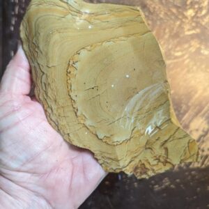 Biggs Picture Jasper Lapidary Rough