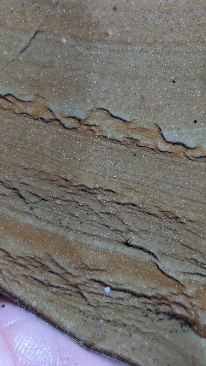 PXL_20240611_202324482
