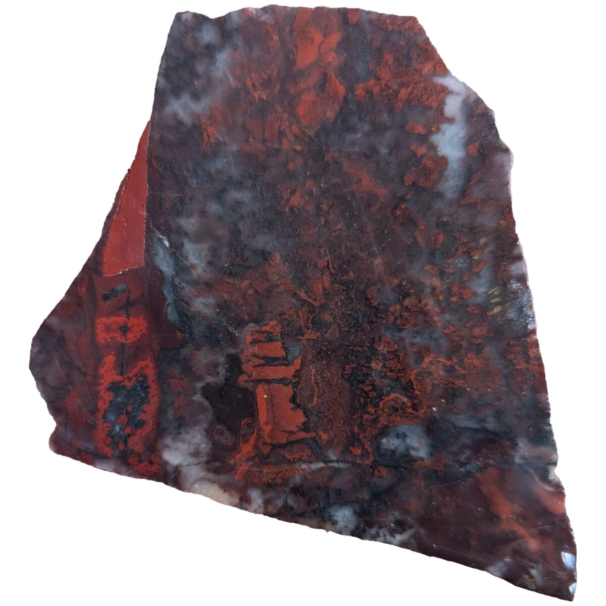 PXL_20240626_203307078-2