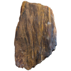 Binghamite / Silkstone Lapidary Slab, shown wet
