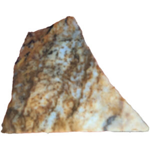 Bigg's Picture Jasper Lapidary Slab, shown wet