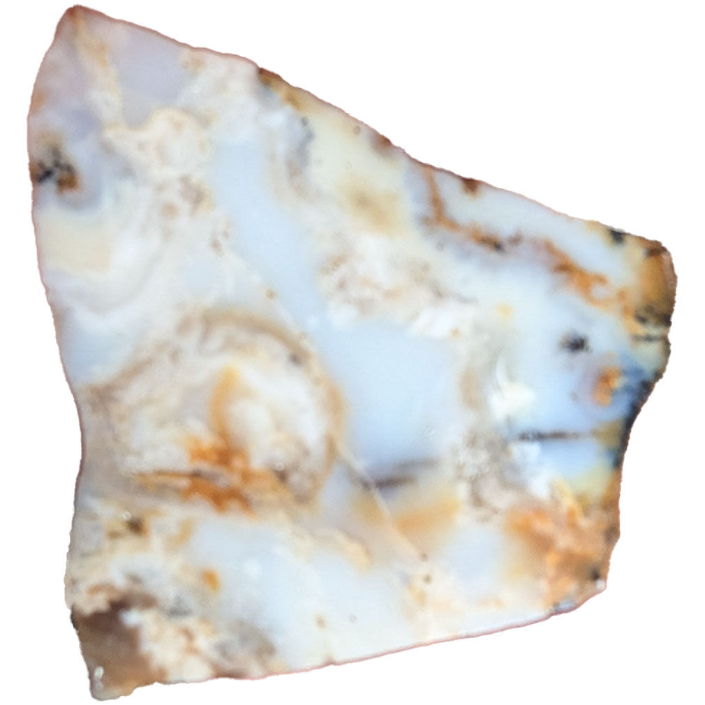 PXL_20240626_203451645-2