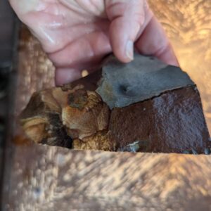 Picture Jasper Lapidary Rough