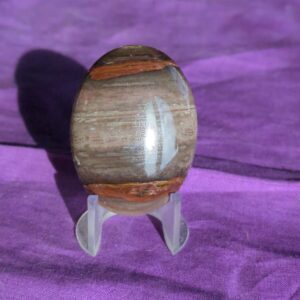 Petrified Wood Cabochon