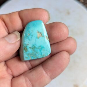 Turquoise Freeform