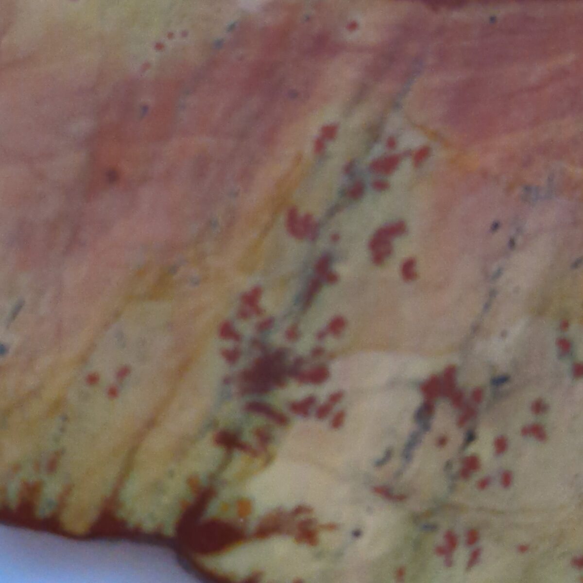 8502 sonoran dendritic 2