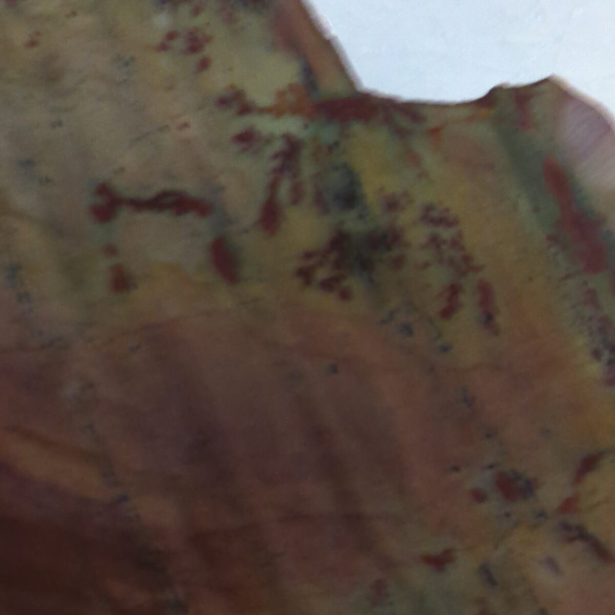 8502 sonoran dendritic 3