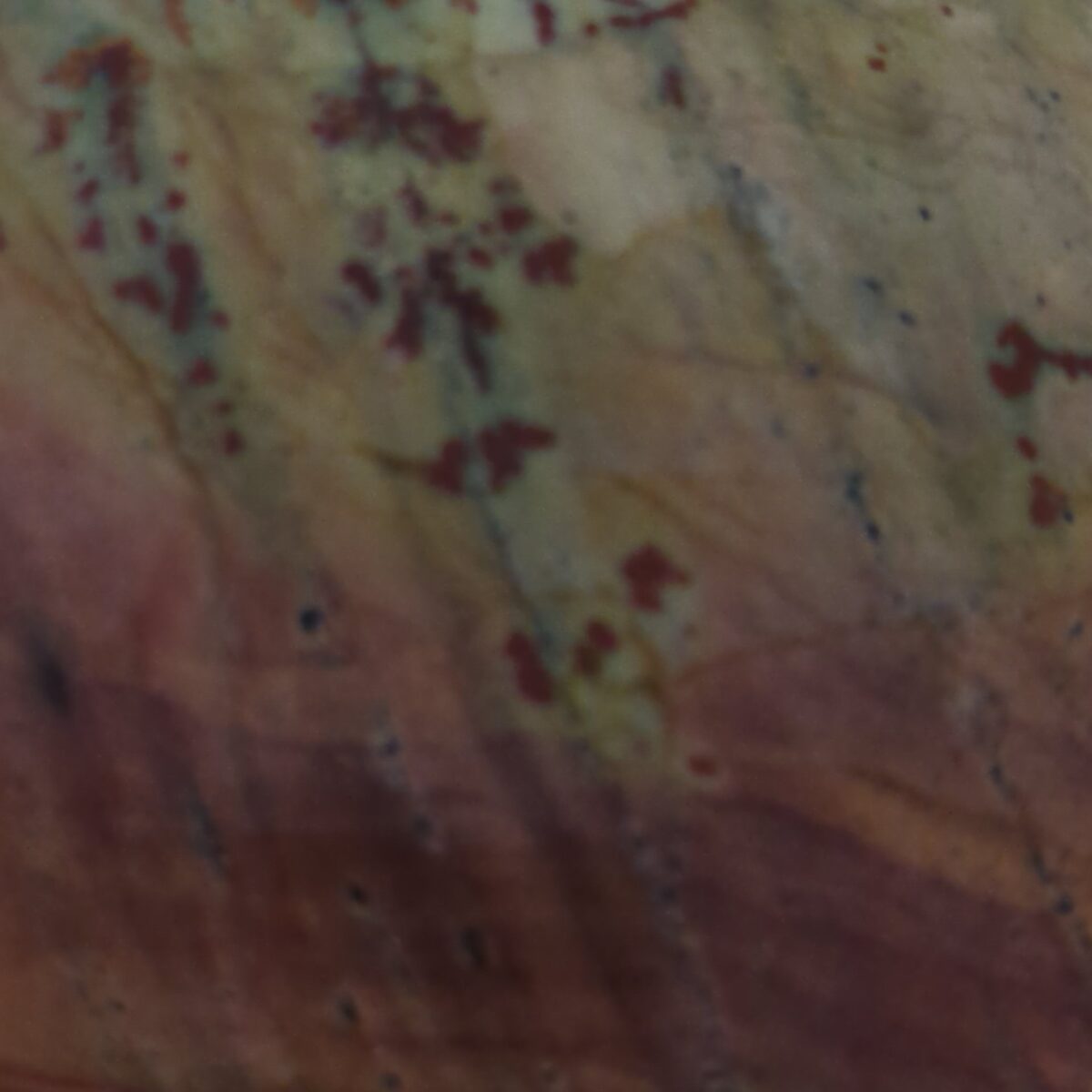 8502 sonoran dendritic 4
