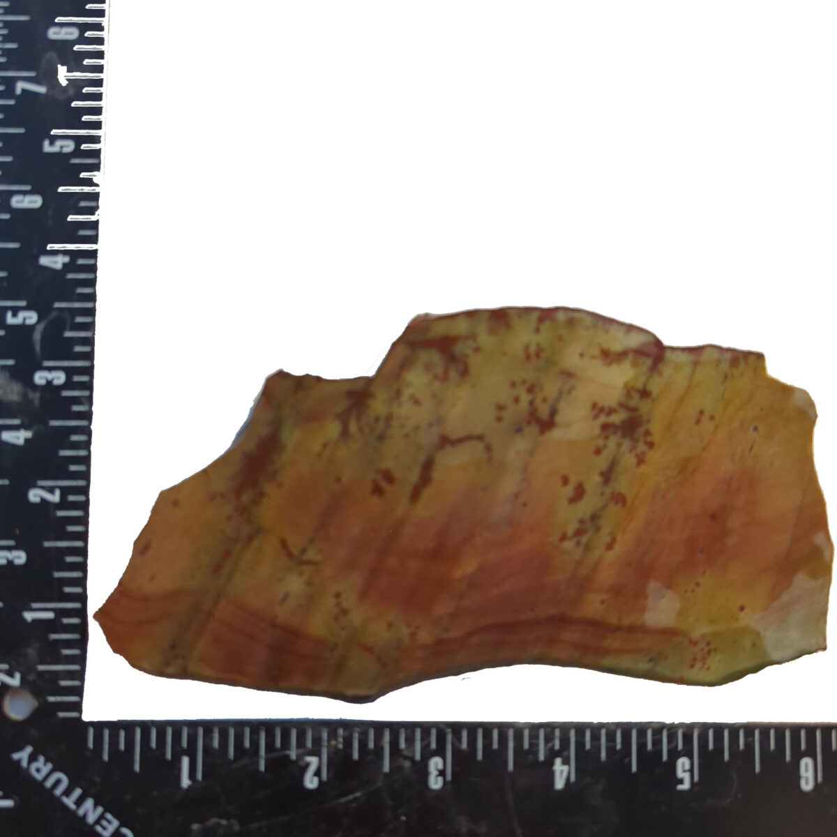 8502 sonoran dendritic 6