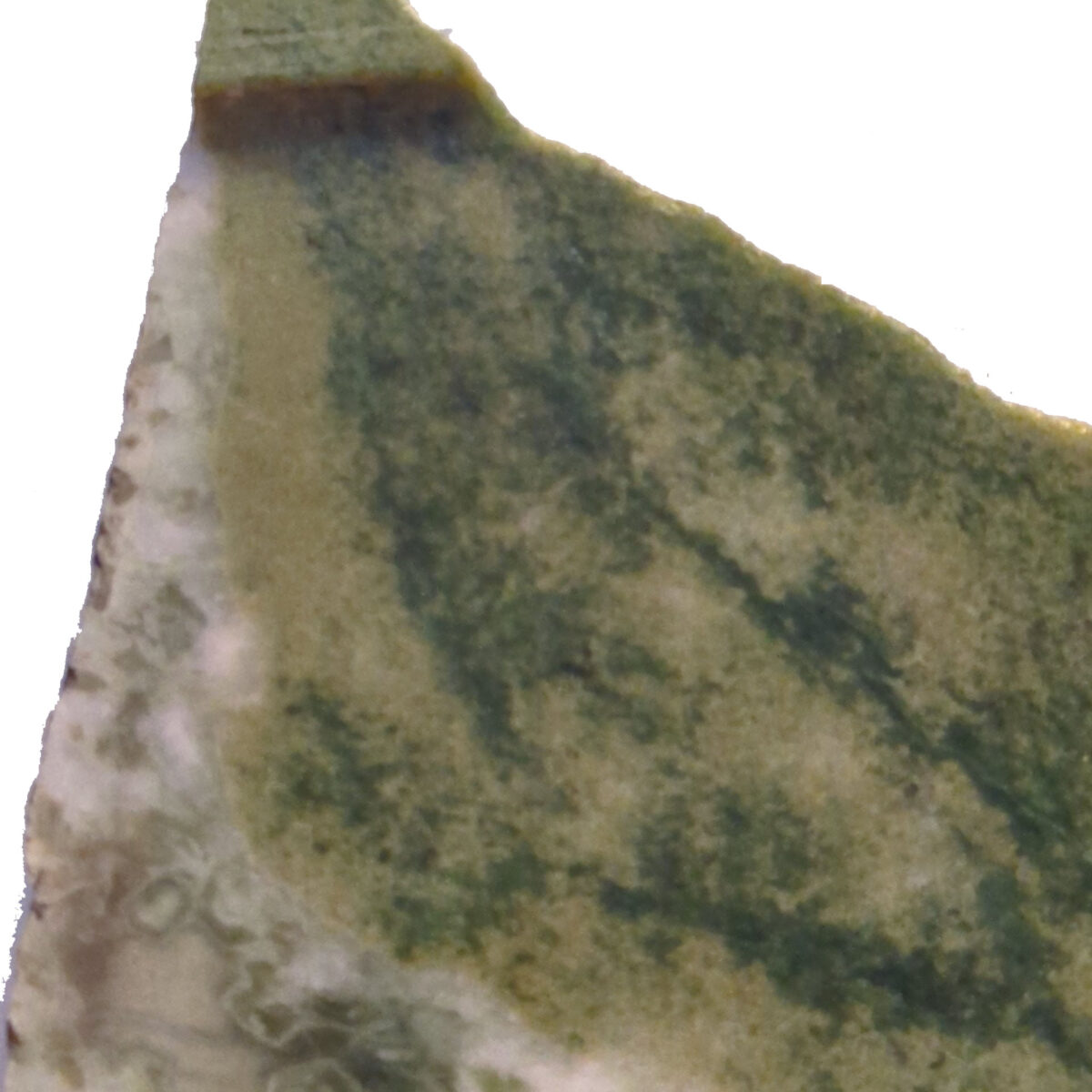 8503 serpentine 4