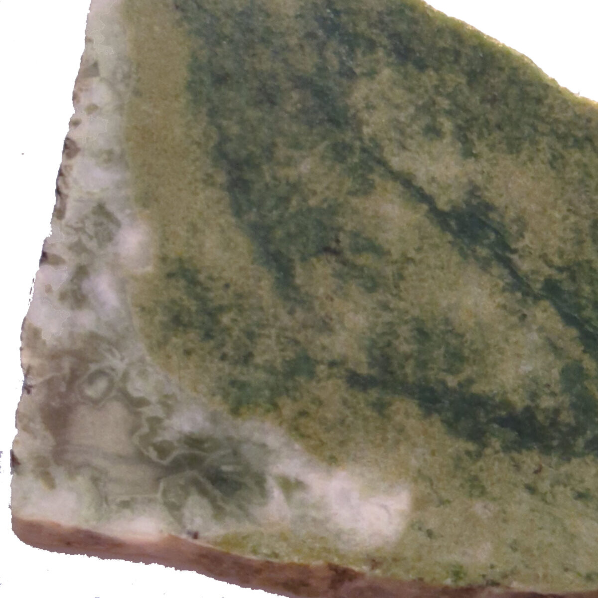 8503 serpentine 5