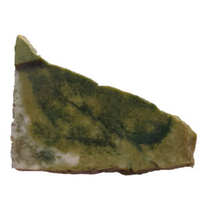 8503 Serpentine Lapidary Slab, shown wet