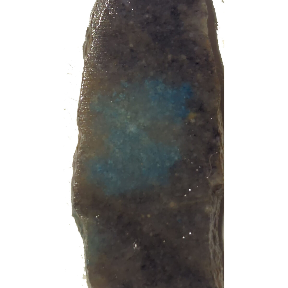 8504 troellite 2