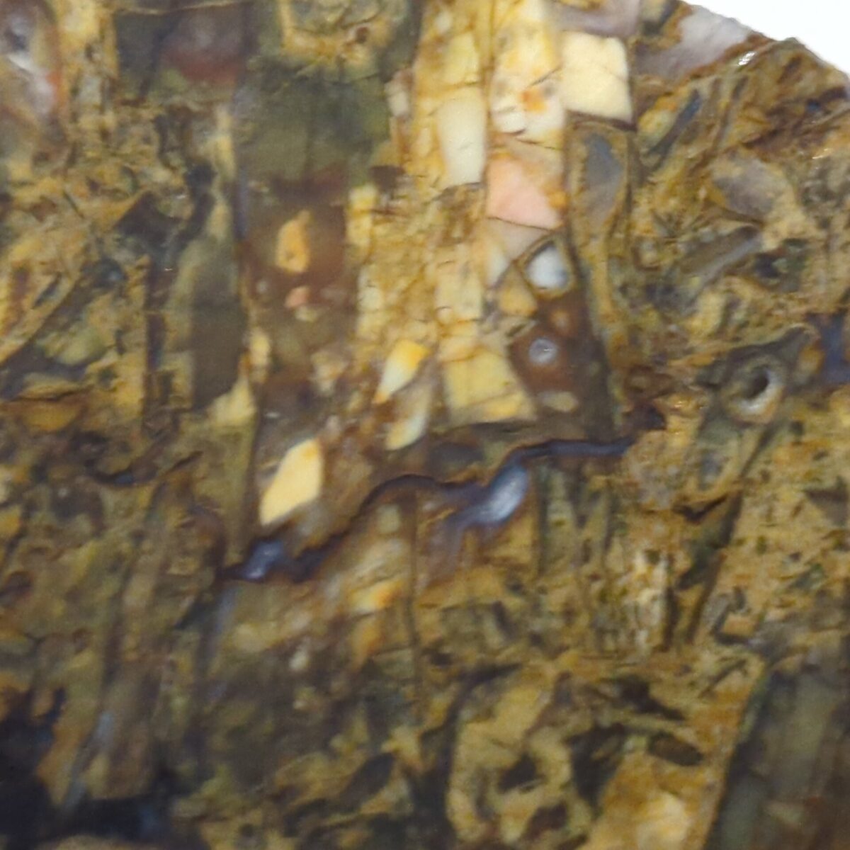 8506 brecciated jasper 1