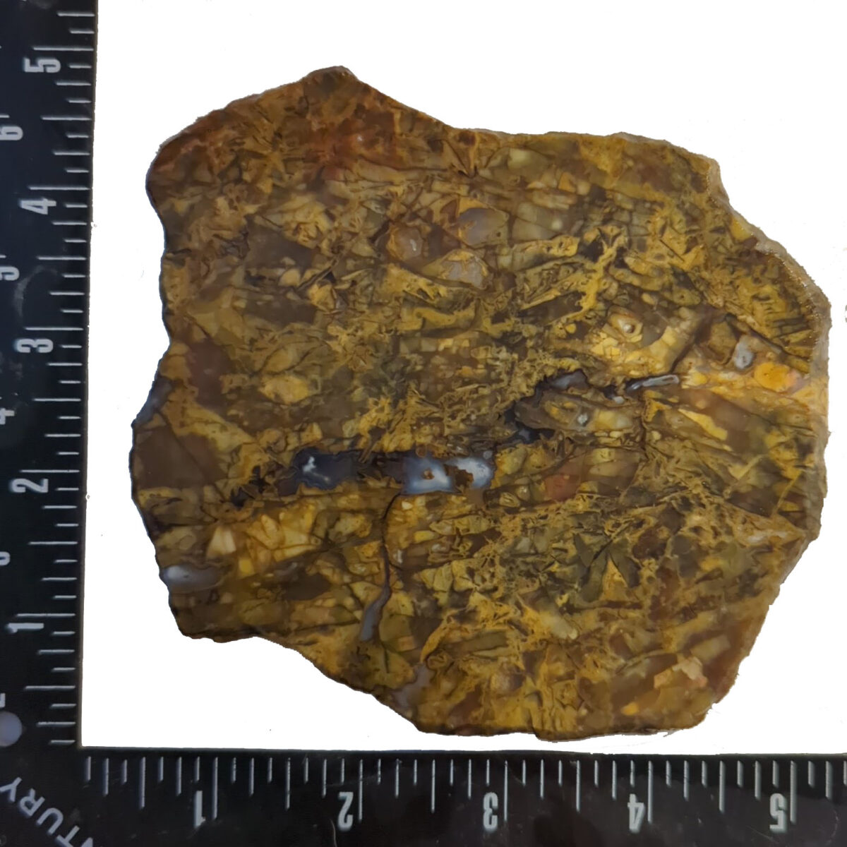 8506 brecciated jasper 3