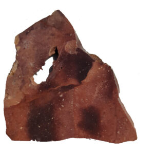 8507 Indian Blanket Stone Lapidary Slab, shown wet