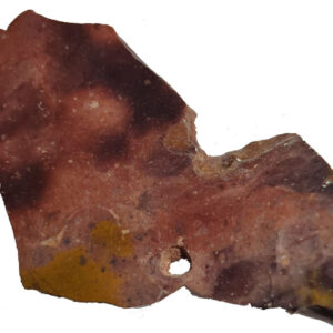 8508 Indian Blanket Stone Lapidary Slab, shown wet