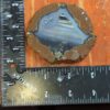 8513 thunderegg 4