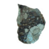 8516 brecciated jasper 1