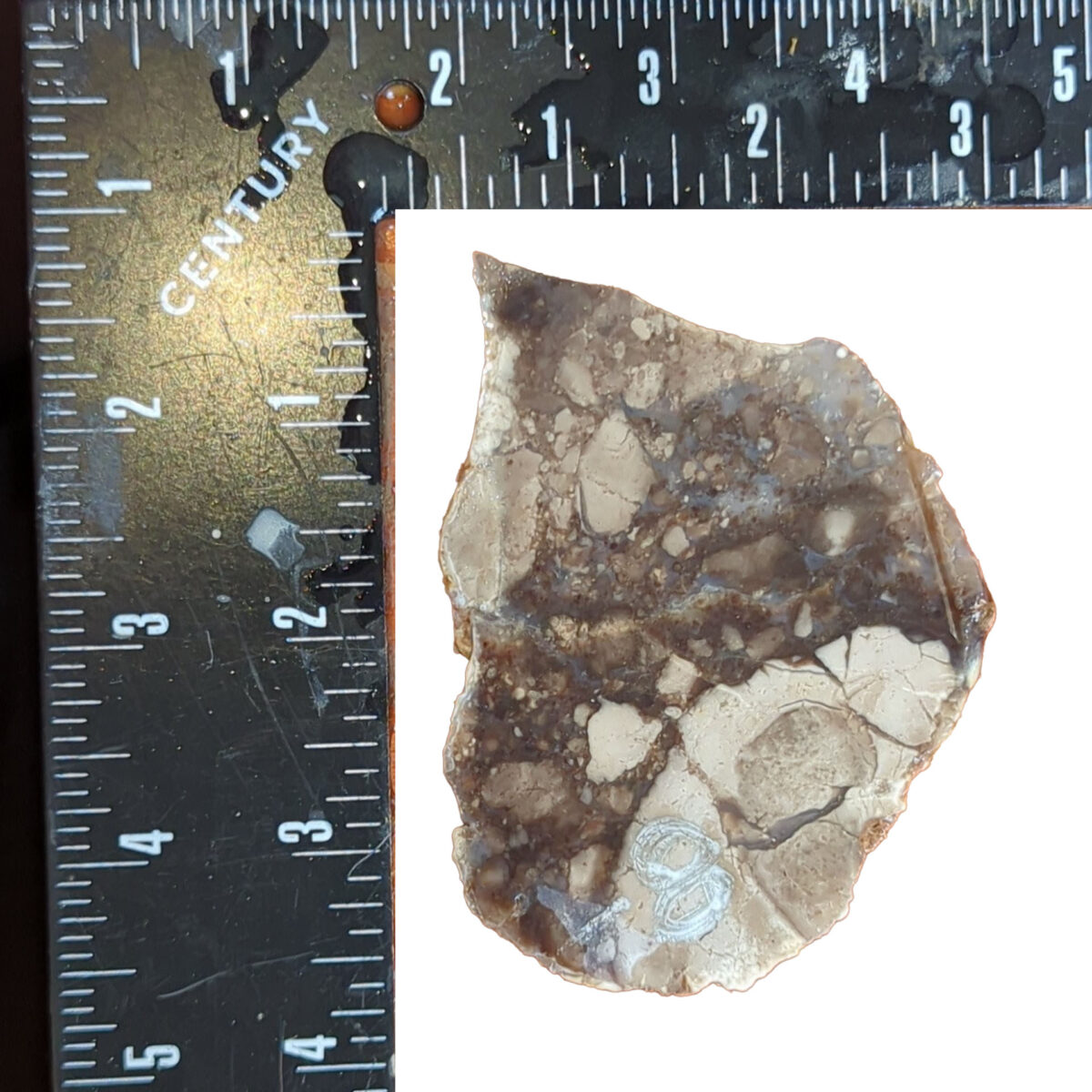 8516 brecciated jasper 4