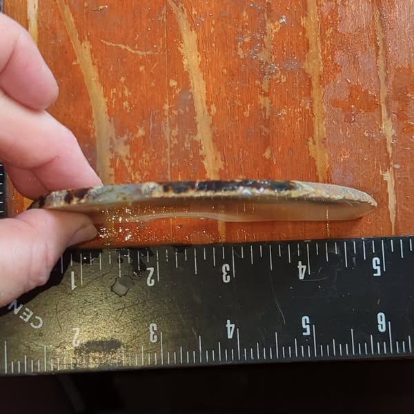 8517 brazilian agate 3
