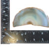 8517 brazilian agate 4