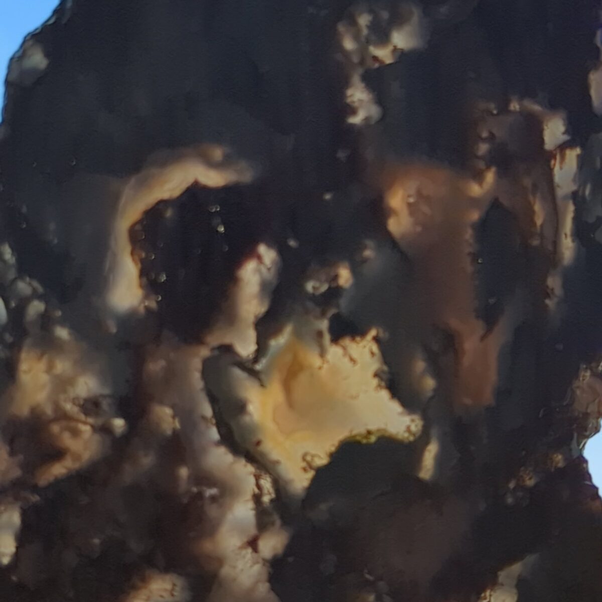 8519 moss agate 3