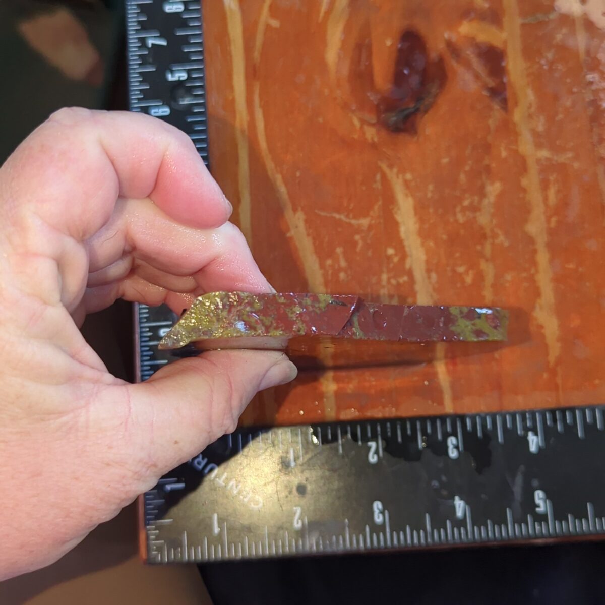 8521-yellowcat-jasper-4