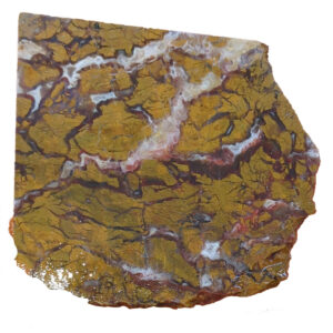 8522 Stoney Creek Jasper Lapidary Slab, shown wet