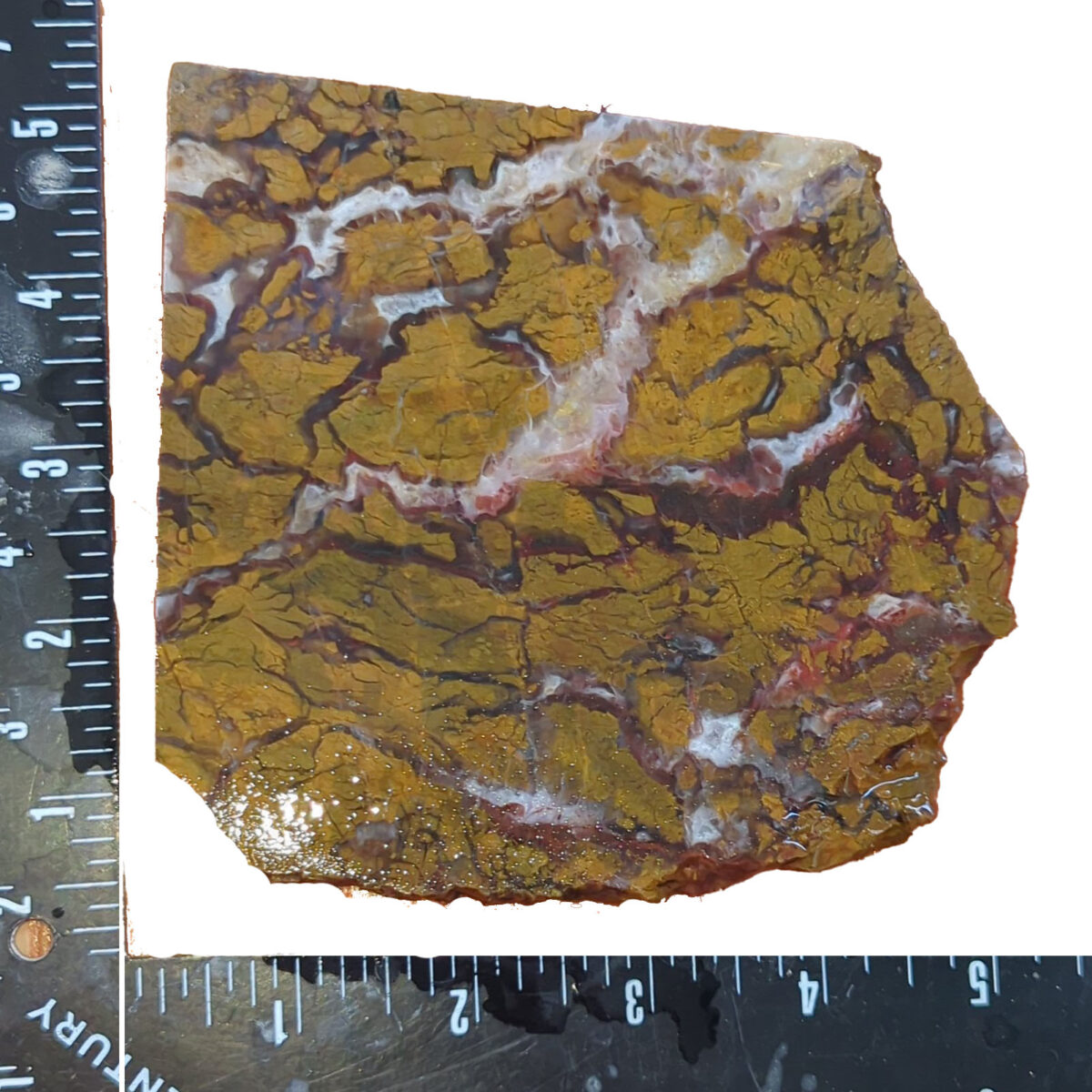 8522-brecciated-jasper-4