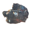 8523-petrified-wood-2