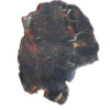 8523-petrified-wood-3