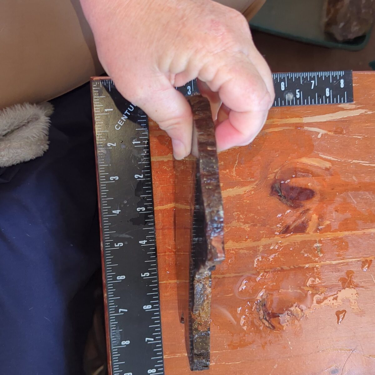 8523-petrified-wood-4