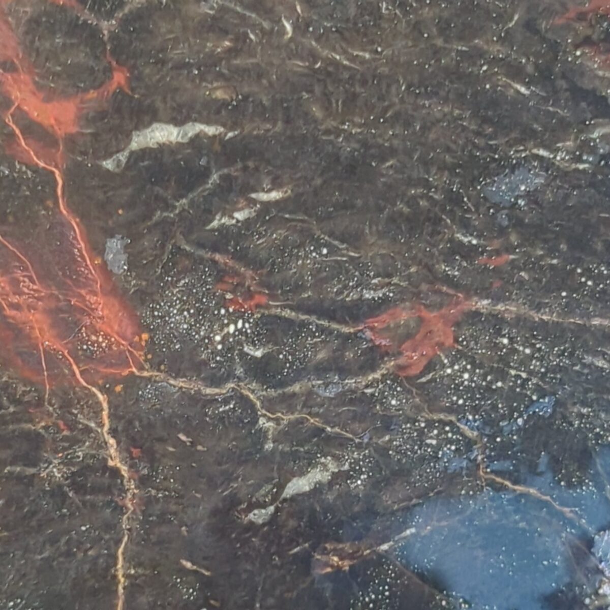 8523-petrified-wood-5