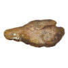8524-palm-wood-2