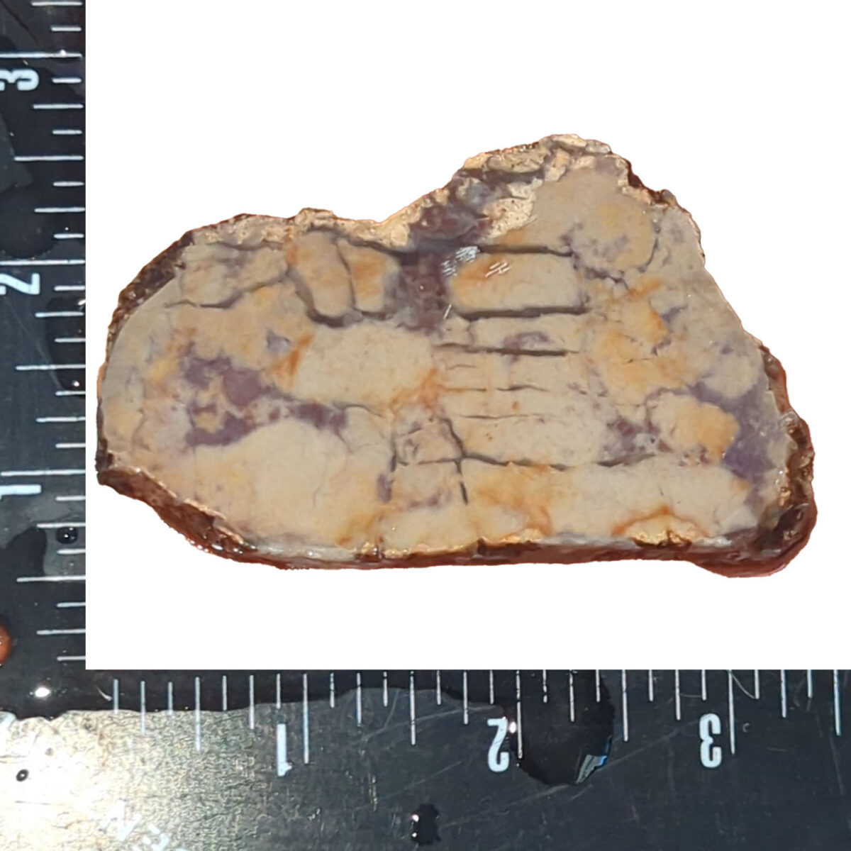 8525-unknown-jasper-1