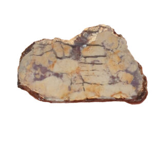 8525 Unknown Lapidary Slab, shown wet