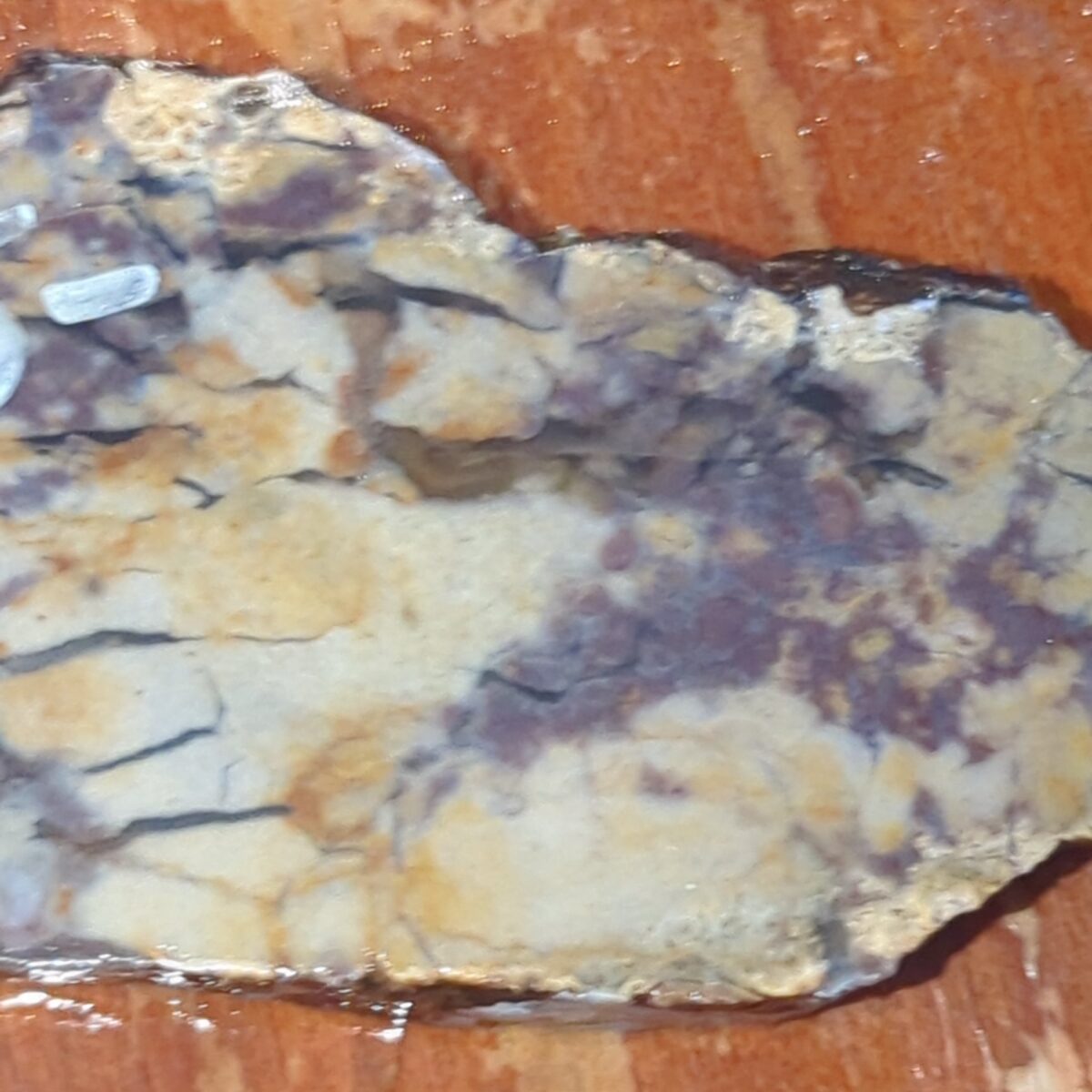 8525-unknown-jasper-5